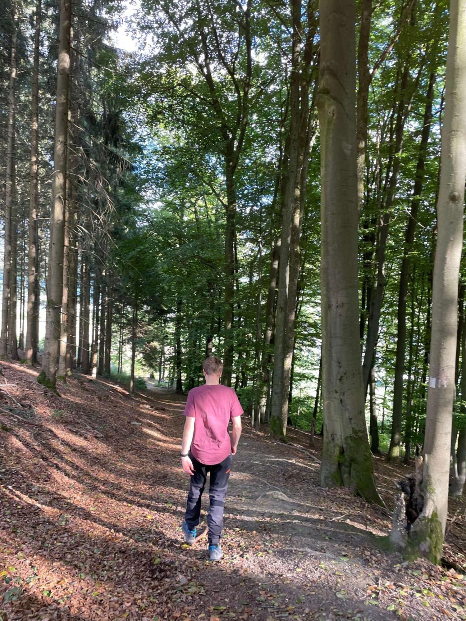 Landgasthof Reinert Reiste Exterior foto